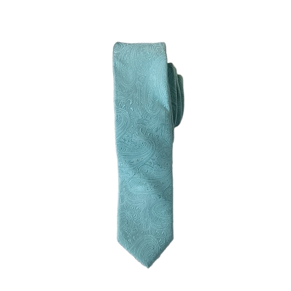 EXPRESS Paisley Print Silk Tie Aqua Mint Color Corporate